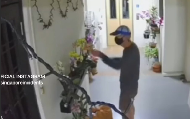 Uncle helping neighbour clear flowers
