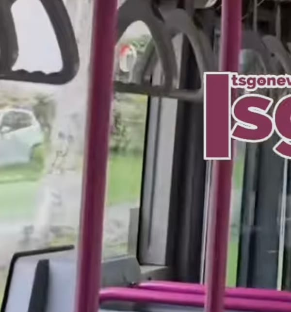 Little Bird Trapped in Bus